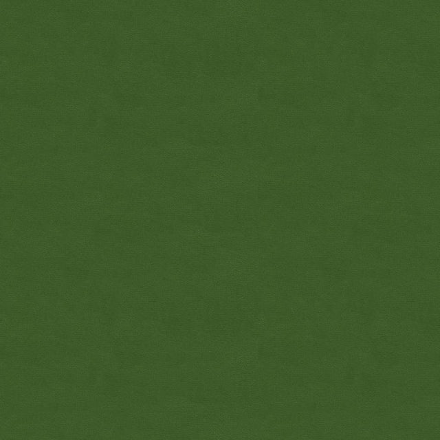 Kravet DESIGN VERSAILLES E260510 Upholstery Fabric