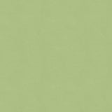 Kravet DESIGN VERSAILLES E260790 Upholstery Fabric