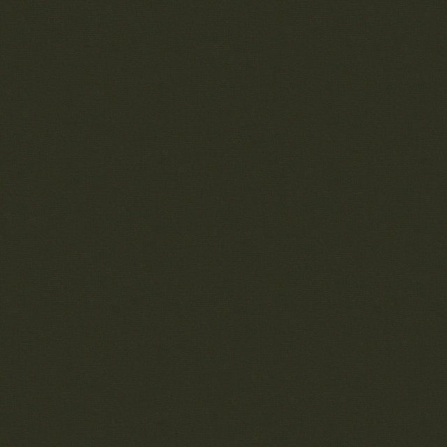 Kravet DESIGN VERSAILLES E263250 Upholstery Fabric
