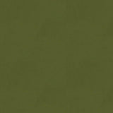 Kravet DESIGN VERSAILLES E264040 Upholstery Fabric