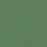 Kravet DESIGN VERSAILLES E265050 Upholstery Fabric