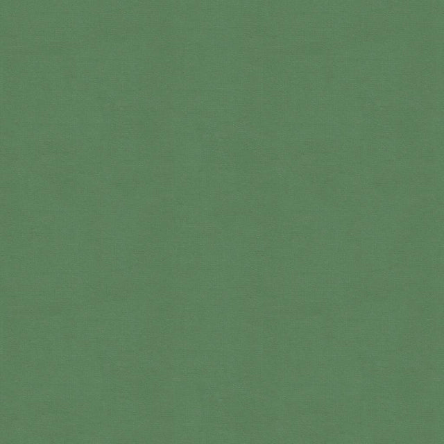Kravet DESIGN VERSAILLES E265050 Upholstery Fabric