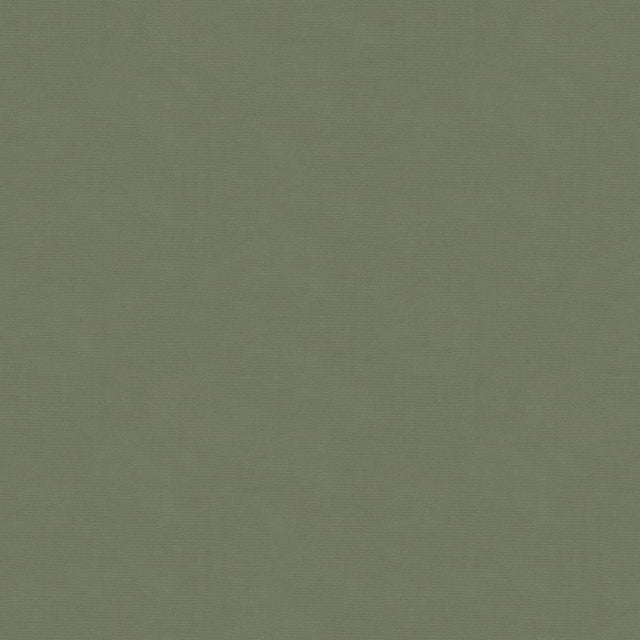 Kravet DESIGN VERSAILLES E265120 Upholstery Fabric