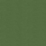 Kravet DESIGN VERSAILLES E266080 Upholstery Fabric