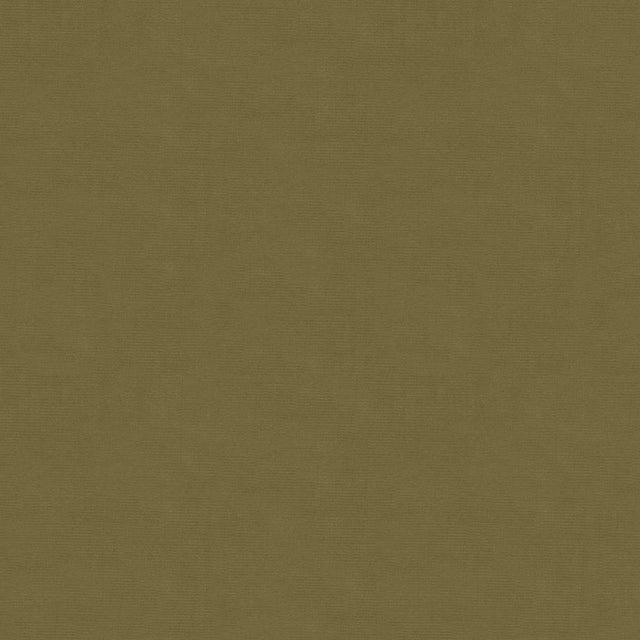 Kravet DESIGN VERSAILLES E268020 Upholstery Fabric