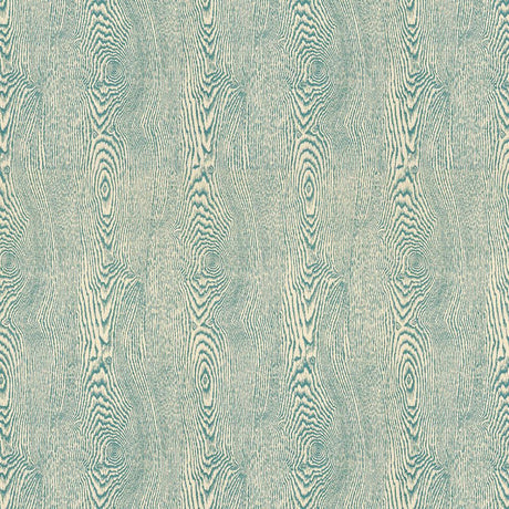 Brunschwig & Fils WOOD RIVER Fabric