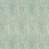 Brunschwig & Fils WOOD RIVER Fabric