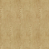 Brunschwig & Fils WOOD TAN Fabric