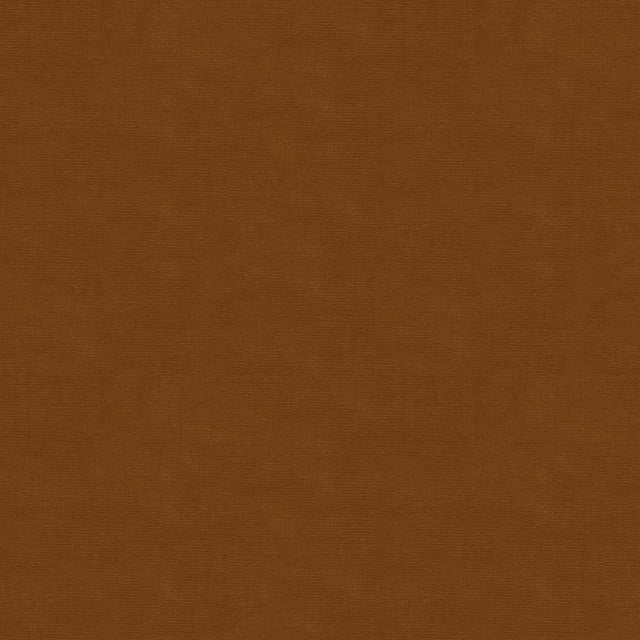 Kravet DESIGN VERSAILLES E282010 Upholstery Fabric