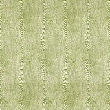 Brunschwig & Fils WOOD LEAF Fabric
