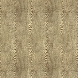 Brunschwig & Fils WOOD BARK Fabric
