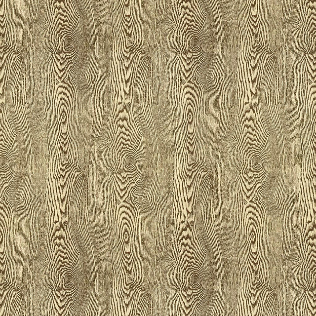 Brunschwig & Fils WOOD BARK Fabric