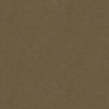 Brunschwig & Fils CHEVALIER WOOL TAUPE Upholstery Fabric