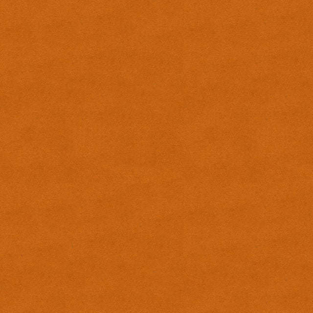 Kravet DESIGN VERSAILLES E290020 Upholstery Fabric