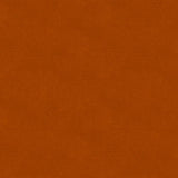 Kravet DESIGN VERSAILLES E291230 Upholstery Fabric