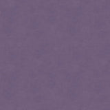 Kravet DESIGN VERSAILLES E298080 Upholstery Fabric