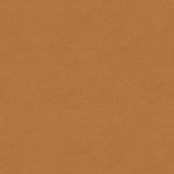 Brunschwig & Fils CHEVALIER WOOL TAN Upholstery Fabric