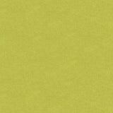 Brunschwig & Fils CHEVALIER WOOL PERIDOT Upholstery Fabric
