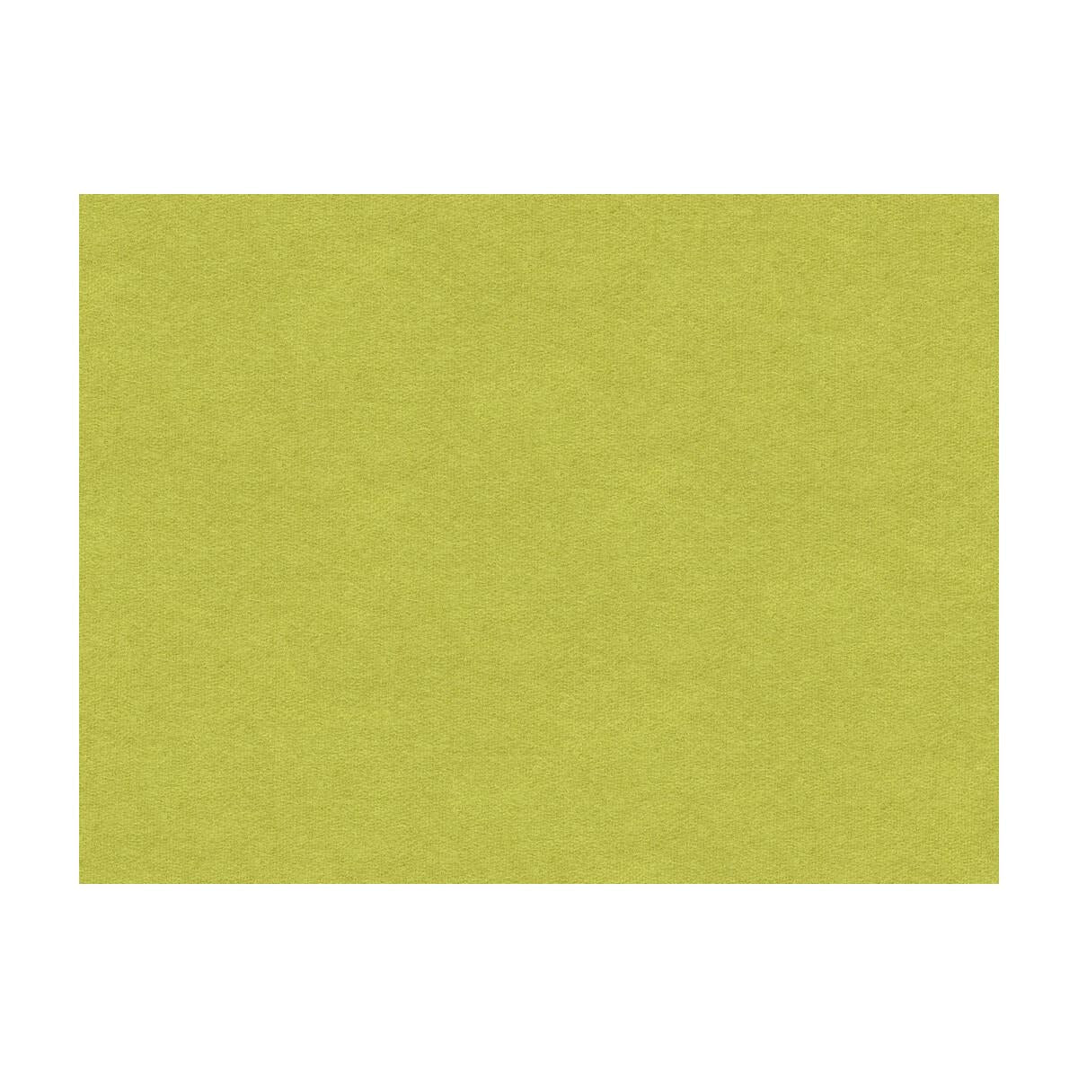 Brunschwig & Fils CHEVALIER WOOL PERIDOT Fabric