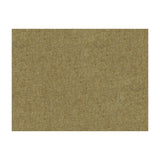 Brunschwig & Fils CHEVALIER WOOL THYME Fabric