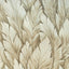 Galerie Samoa Beige Wallpaper