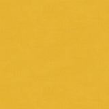 Brunschwig & Fils CHEVALIER WOOL SOLEIL Upholstery Fabric
