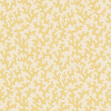 Schumacher Folly Straw Fabric