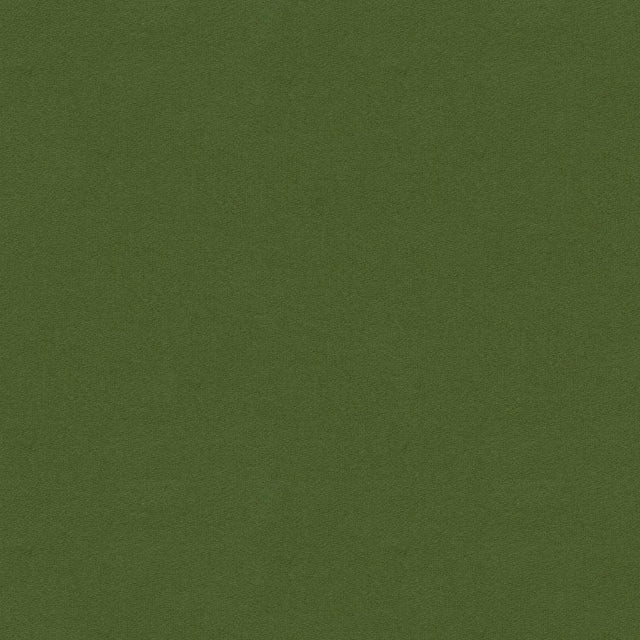 Brunschwig & Fils CHEVALIER WOOL FOREST Upholstery Fabric