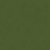 Brunschwig & Fils CHEVALIER WOOL FOREST Upholstery Fabric