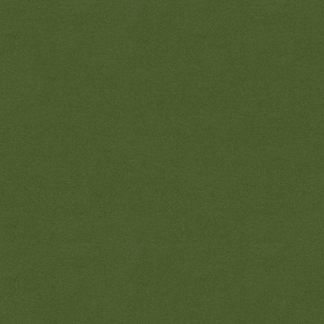 Brunschwig & Fils CHEVALIER WOOL FOREST Upholstery Fabric