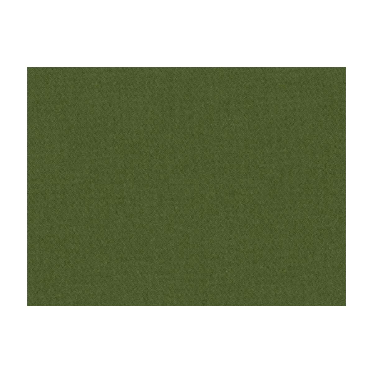 Brunschwig & Fils CHEVALIER WOOL FOREST Fabric