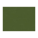 Brunschwig & Fils CHEVALIER WOOL FOREST Fabric