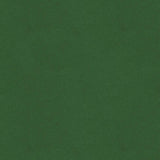 Brunschwig & Fils CHEVALIER WOOL MALACHITE Upholstery Fabric