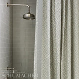 Schumacher Folly Orpington Blue Fabric