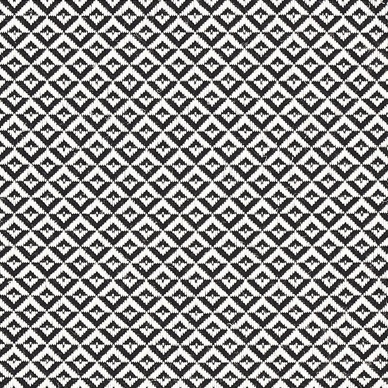 Schumacher Jamison Black Fabric