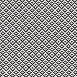 Schumacher Jamison Black Fabric