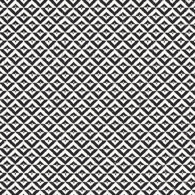 Schumacher Jamison Black Fabric