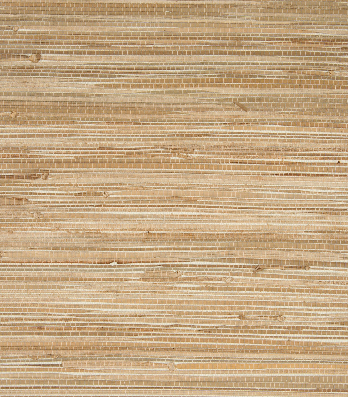 Kravet DESIGN W3037 1616 Wallpaper