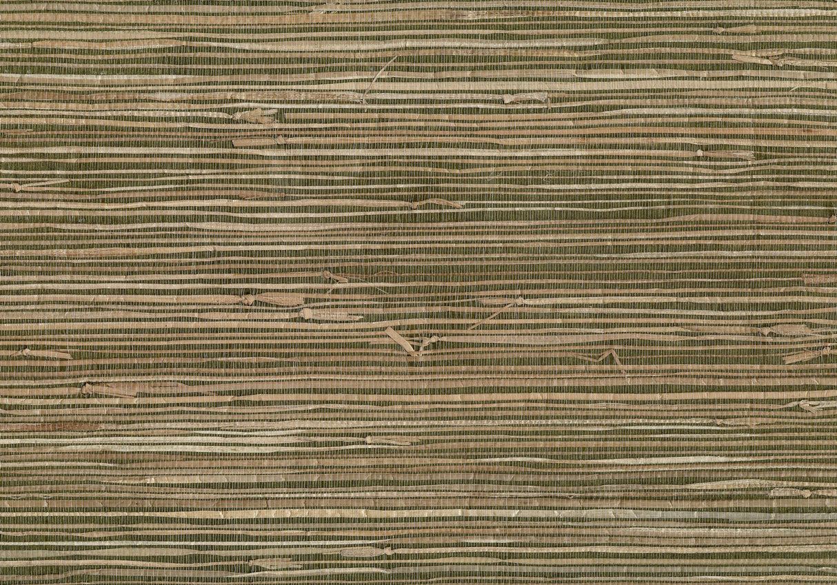 Kravet DESIGN W3037 6 Wallpaper