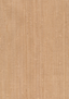 Kravet DESIGN W3038 16 Wallpaper
