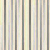 Schumacher Morrison Blue Fabric