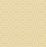 Schumacher Pavilion Straw Fabric