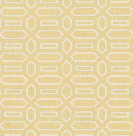Schumacher Pavilion Straw Fabric
