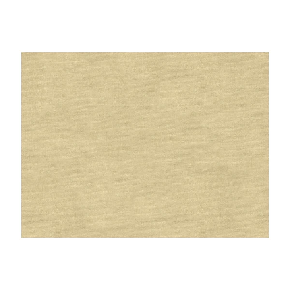 Brunschwig & Fils CHARMANT VELVET ECRU Fabric