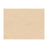 Brunschwig & Fils CHARMANT VELVET CHAMPAGNE Fabric