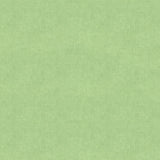 Brunschwig & Fils CHARMANT VELVET CELADON Upholstery Fabric