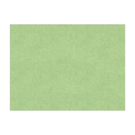 Brunschwig & Fils CHARMANT VELVET CELADON Fabric