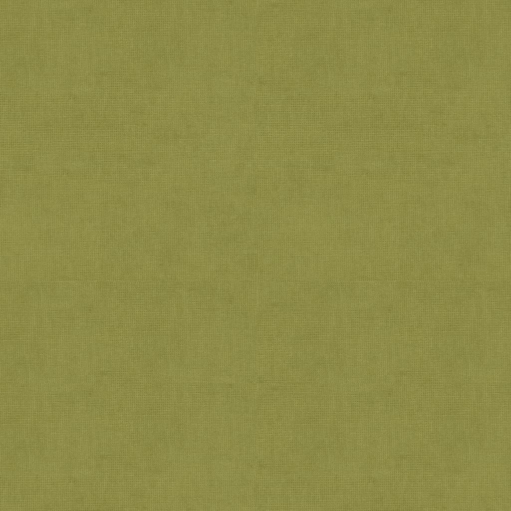 Brunschwig & Fils CHARMANT VELVET FERN Upholstery Fabric