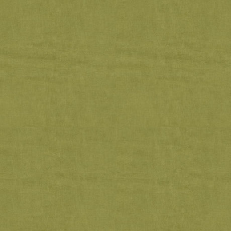 Brunschwig & Fils CHARMANT VELVET FERN Upholstery Fabric