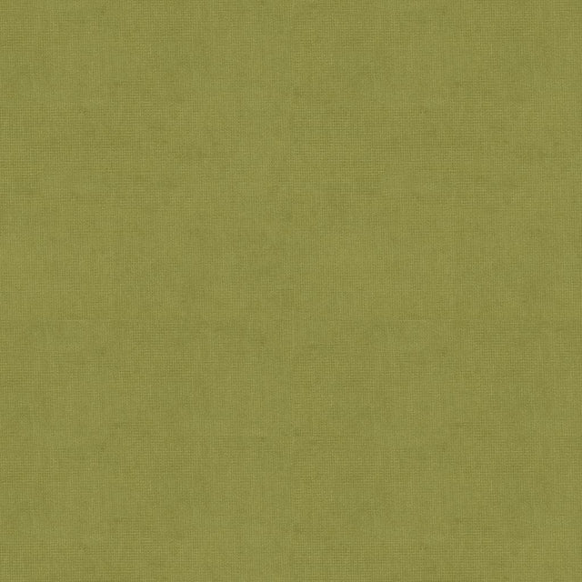 Brunschwig & Fils CHARMANT VELVET FERN Upholstery Fabric